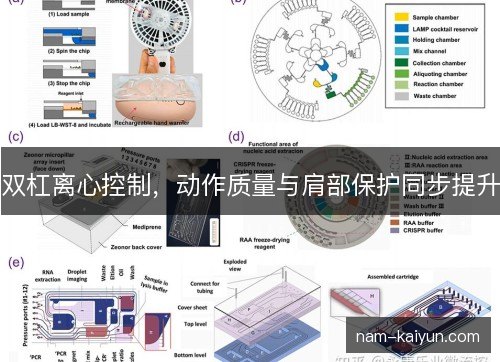 双杠离心控制，动作质量与肩部保护同步提升